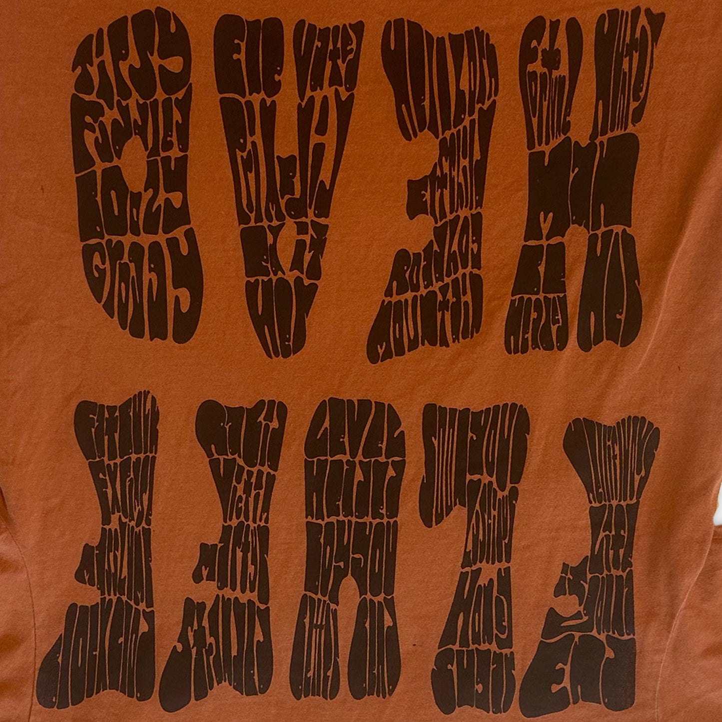 SING-A-LONG FLUFFHEAD SHIRT (Terracotta)